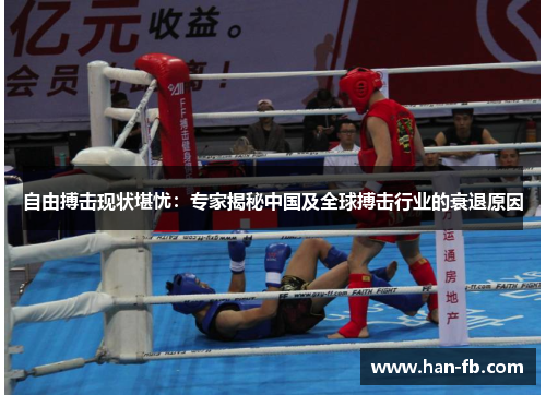 自由搏击现状堪忧:专家揭秘中国及全球搏击行业的衰退原因 自由搏击现状堪忧:专家揭秘中国及全球搏击行业的衰退原因