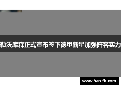 勒沃库森正式宣布签下德甲新星加强阵容实力