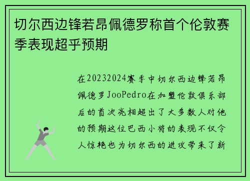 切尔西边锋若昂佩德罗称首个伦敦赛季表现超乎预期